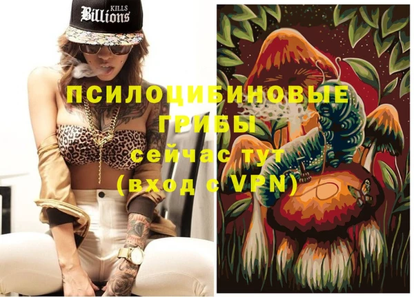 mix Алексин